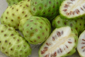 Noni - Conheça os Benefícios dessa Fruta